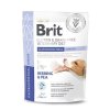 Brit VD Dog GF Gastrointestinal Junior 400g