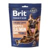 Brit Premium Dog by Nature SM Snacks Salmon 180g