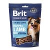 Brit Premium Dog by Nature SM Snacks Lamb 180g