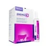 Energan Pansenstarter 12x325g