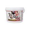 Gelapony Biotin 600g