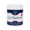 Protexin Gut Balancer pro koně 400g