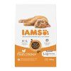 Iams Cat Kitten Chicken 10kg