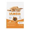 Iams Cat Adult Chicken 10kg