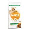 Iams Dog Adult Large Chicken 12kg