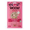 WOOLF Earth poch. NooHide S Sticks with Salmon 90g