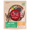 ONE Mini active ChickenAndRice 800g