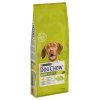 Dog Chow Adult chicken 14kg
