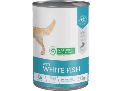 111289 zb025444 1733757202