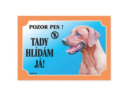 42882 rhodesky ridgeback