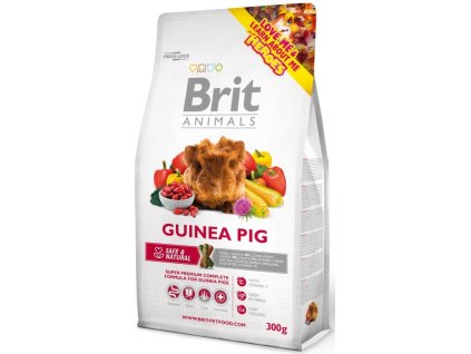 2076 1 brit animals guinea pig complete 300 g