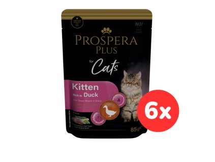 102508 1513 10101 set6