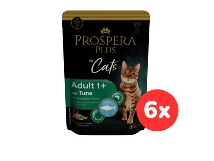 102502 1513 10102 set6