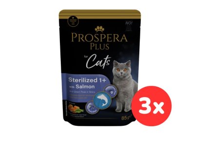 102493 1513 10106 set3