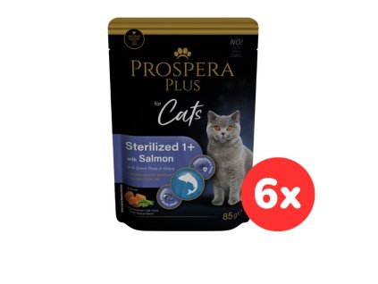 102490 1513 10106 set6