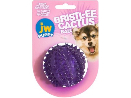 87504 jw bristl ee cactus ball