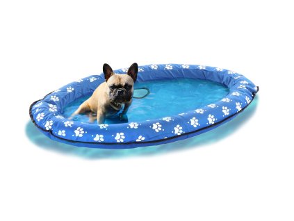 103003 4 fla 521369 7 0602202510570219167