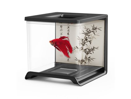 104533 bettarium e 02 cerne