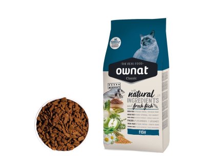 103537 10038 katalog