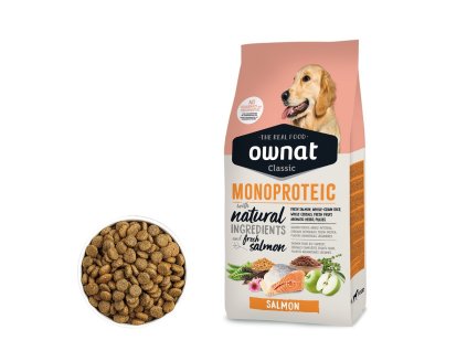 103519 10050 katalog