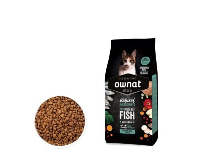 110968 10377 katalog