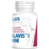 13167 alavis 5 mini