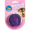 87504 jw bristl ee cactus ball