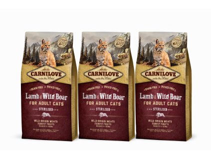 52321A0A 7BEB 4C93 AE6B 9ED2301F5466