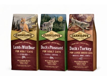 E3A4C908 02F2 47F3 BCFD 6CBABD07F642