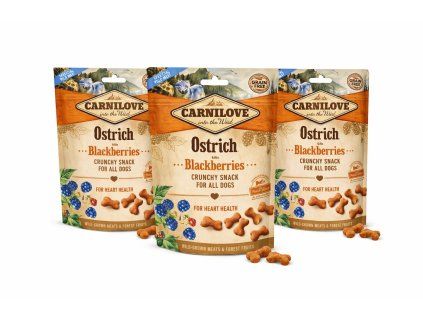 129419F1 A4A6 40B2 BC75 4ECA9B28B0C9