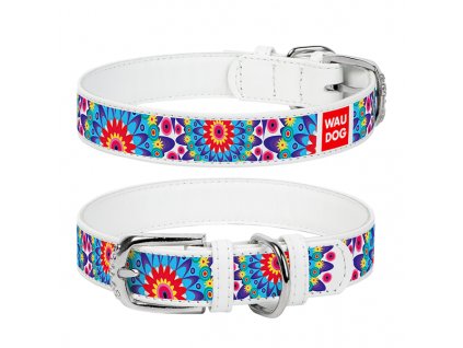 WAUDOG obojek kožený Flowers bílý (38-49cm/2,5cm)