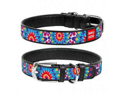 WAUDOG obojek kožený Flowers černý (38-49cm/2,5cm)