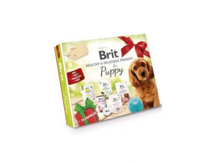 Brit Care Box Dog Puppy Healthy&Delicious 2023