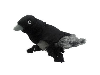 Wild Life Dog - Havran