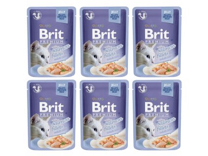 Brit Premium Cat  Fillets in Jelly with Salmon 6 x 85g
