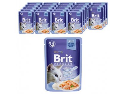 Brit Premium Cat  Fillets in Jelly with Salmon 24 x 85g