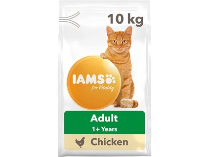 61Ov4exr4NL. AC SX425