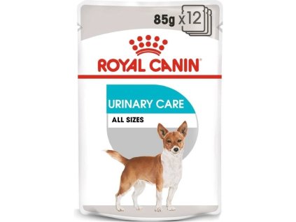 cd2c89c2 1070 4da1 a477 08da92c2e72e