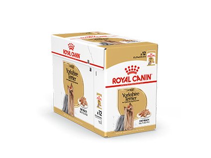 royal canin yorkshire terrier adult v dfoder