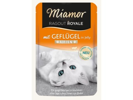 obrázek 2025 11 12 121655118