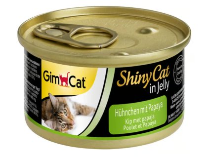 obrázek 2025 11 11 120053535