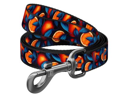 WAUDOG vodítko nylon Pomeranče (L-XXL/122cm/2,5cm)