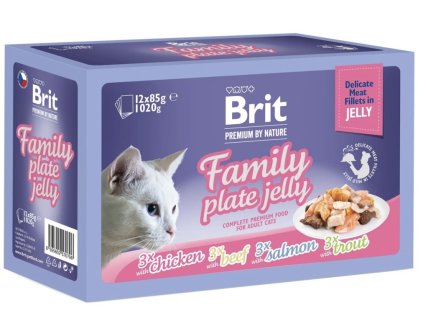 Brit Premium Cat D Fillets in Jelly Family Plate 1020g