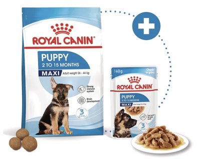 SET - Royal Canin Maxi Puppy 15 kg + 10x kapsa 140g