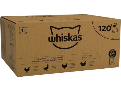 Whiskas 1+ pack jelly 120x85g