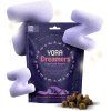 yora dreamers 01