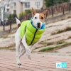 AiryVest bunda pro psy zelená/černá L 65