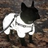 WAUDOG pláštěnka/overal pro psy Reflective   S 30