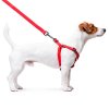 WAUDOG postroj voděodolný Collartex Fastex QR modrý (50-80cm/2,0cm)