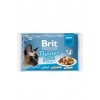 Brit Premium Cat D Fillets in Gravy Dinner Plate 340g